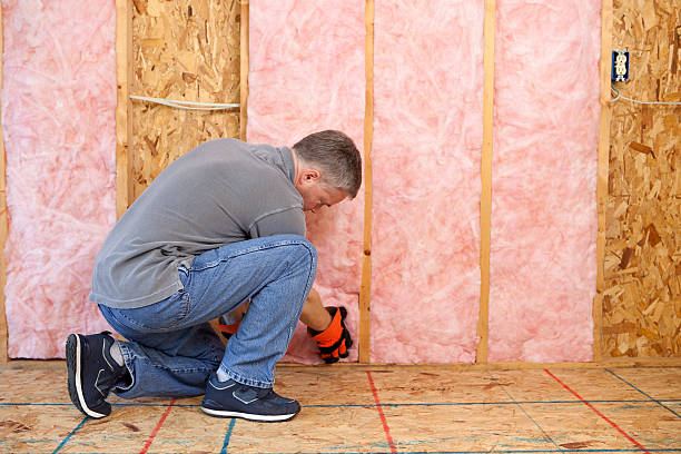 Best Crawl Space Insulation  in Oak Lawn, IL