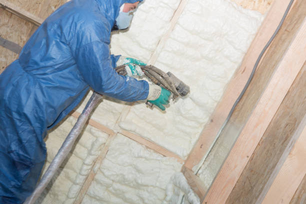 Best Radiant Barrier Insulation  in Oak Lawn, IL